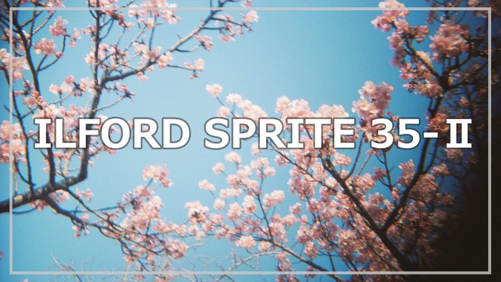 【35mm フィルムカメラ】ILFORD SPRITE 35-Ⅱ で日常を撮る
